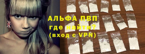 стафф Бородино